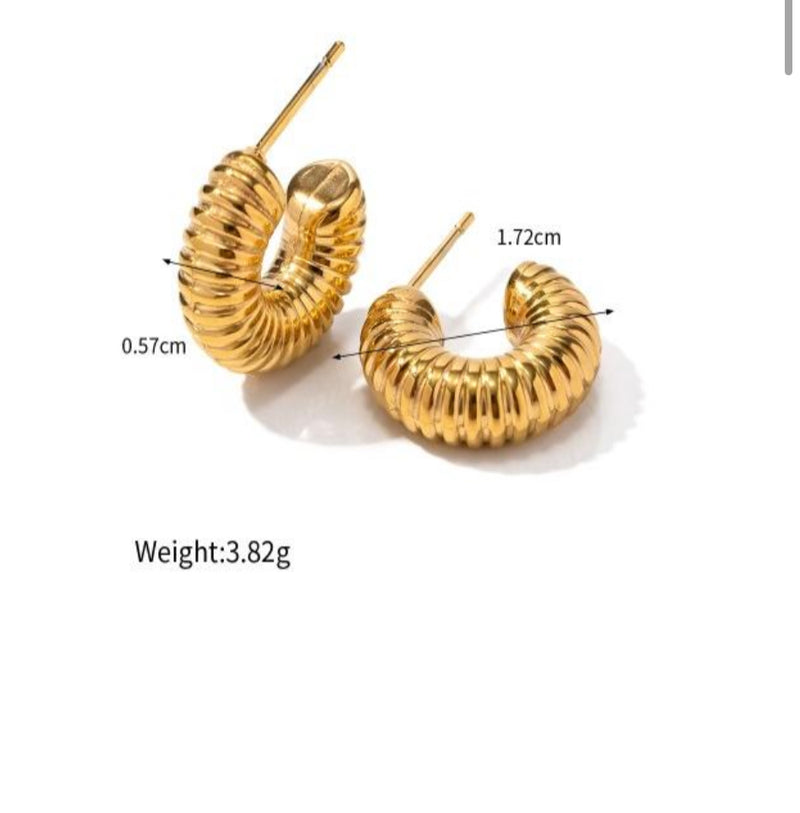 Golden Twirl Earrings